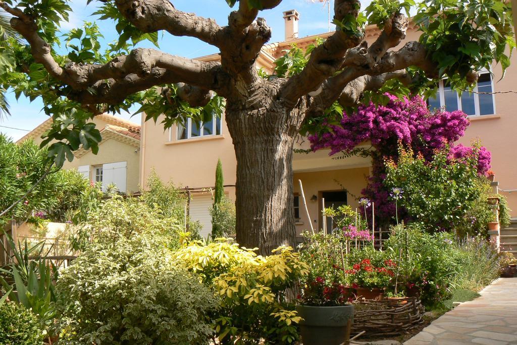 Bed and Breakfast L' Escale Tranquille Сет Экстерьер фото